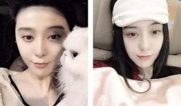 往期内容-吃瓜明星网红校园,吃瓜明星与网红的跨界传奇